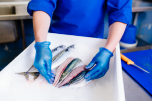 Filleted fish on ice